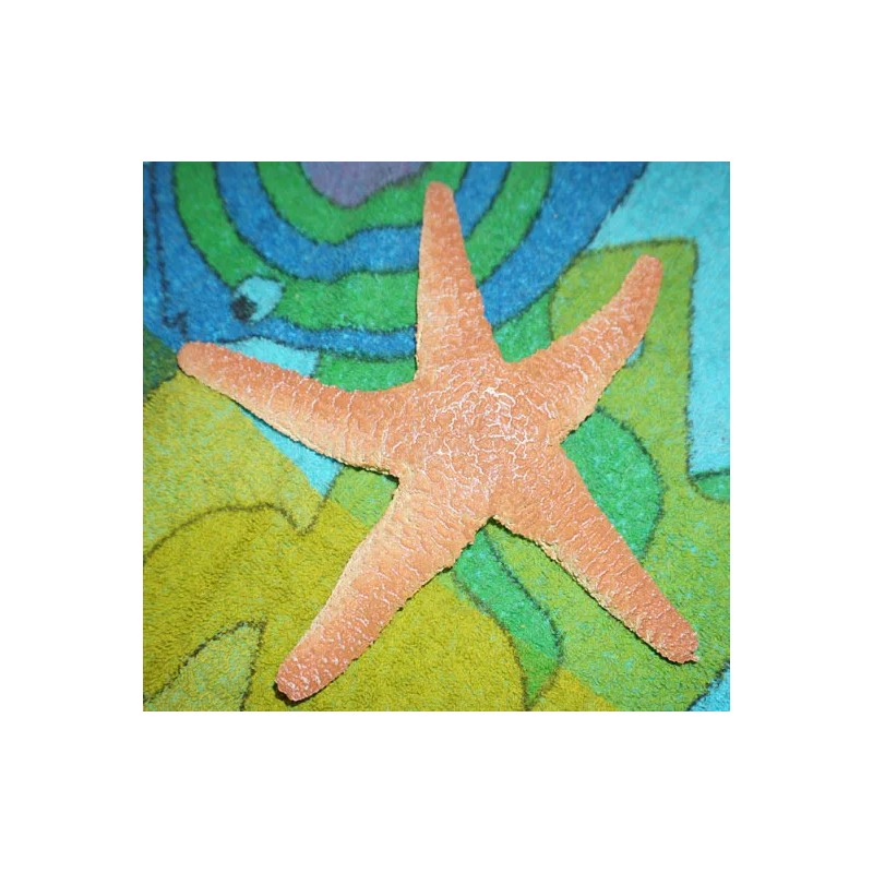 Starfish Replica - AAA - Rubber