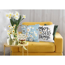 Hexagram Outdoor Pillow Covers 18x18 Set of 4, Light Blue Floral Daisy Decor, Farmhouse Decorative Throw Pillow Covers for Couch Sofa Indoor Outdoor Home Decor