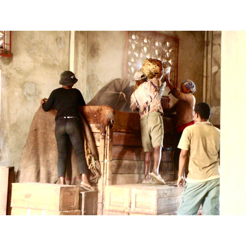 50 Madagascar Vanilla Beans Grade A 14-16cm 150g