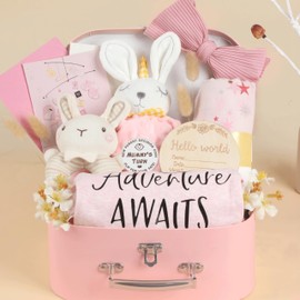 Shower Gifts Basket Gift Set for Newborns New Born Gift Set Pink Gift Basket with Rattle Swaddle Blanket Decision Coin Security Blanket Gender Reveal Gifts