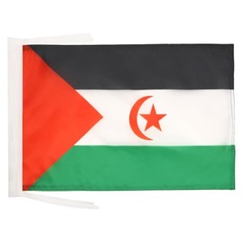 Western Sahara Flag 18'' x 12'' cords - Sahrawi - Western Saharan SMALL flags 30 x 45cm - Banner 18x12 in - AZ FLAG