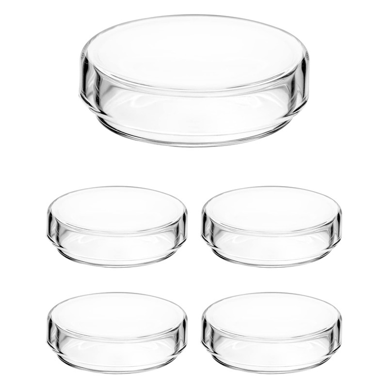 QWORK Glass Petri Dish Petri Plates with Lid, Thicken, 60mm