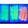 Dega by Jenzi Cod Rigs Rubber Octopus 3 Arms Luminous