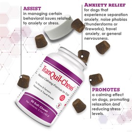 Pet Health Solutions Pet Health Solutions Tranquil-Chews Calming Formula for Dogs - Anxiety, Stress, Travel, Fireworks Relief for Dogs - Chamomile - Beef Flavored Chews, 60 Soft Chews
