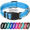 TECEUM - Collar para perro azul cielo - Collar para
