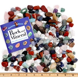DANCING BEAR 2 Pounds Tumbled Polished Natural Gem Stones + 24 Page Rock & Mineral Book. Average Stone Size ¾ inch. Choose 1 or 2 pounds Brand