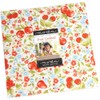 Fruit Cocktail Layer Cake®, 42-10" Precut Fabric Quilt Squares by