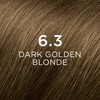 PHYTOCOLOR: Permanent Hair Dye by PHYTO Shade: 6.3 Dark Golden