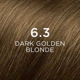 PHYTOCOLOR: Permanent Hair Dye by PHYTO Shade: 6.3 Dark Golden Blonde