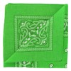 Laciteinterdite Set of 3 Paisley Bandanas for Men and Women,