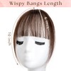 Clip in Bangs 100% Real Human Hair Extensions Wispy Bangs
