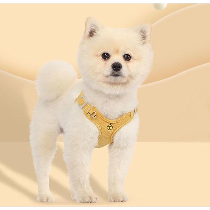 Oyccen Small Dog Harness with Lead, Puppy, Adjustable Chest Harness,