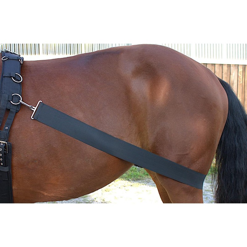 PFIFF 103117 Lungier and Training System Elastic, Training Band for