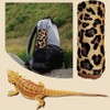 Bearded Dragon Bed with Pillow Blanket, Bearded Dragon Tank Accessories