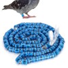 100pcs Pigeons Training Foot Rings Identify Numbered Blue Leg Bands