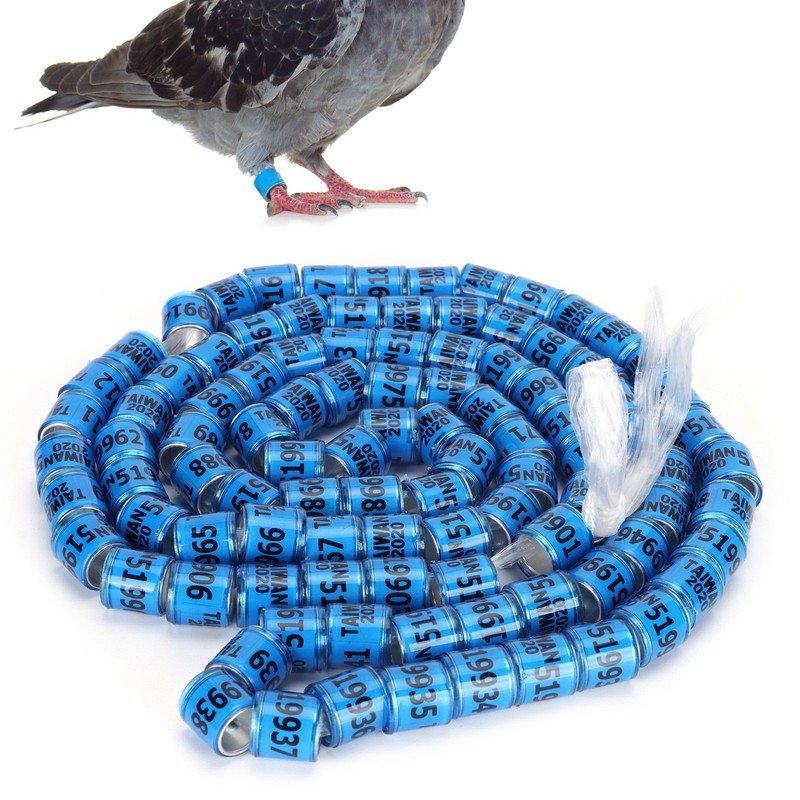 100pcs Pigeons Training Foot Rings Identify Numbered Blue Leg Bands