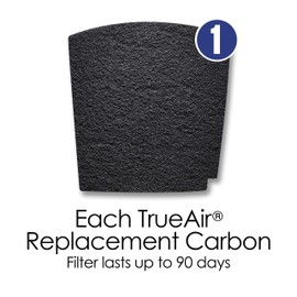 Hamilton Beach TrueAir Replacement Carbon Filter for Odor Eliminators, Common Household-Trash, Pet, Smoke and Bathroom, 1-pk (04290G), 1 Count (Pack of 1)