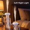 Portable Mist Humidifier for Personal Spaces – Quiet Operation and