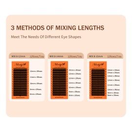 Extensión De Pestañas 6dw W Shape Volume Premium En Forma De