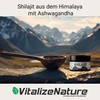 VitalizeNature - Shilajit - 30 g Shilajit Original + Ashwagandha