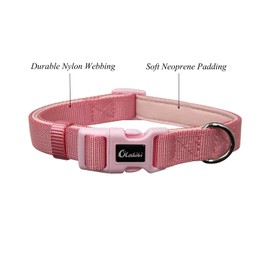 Olahibi Dog Collar Leash Set, Durable Nylon Webbing with Soft Neoprene Padding, for Small Dogs(S, Light Pink)