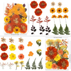 LUXEEASE - Flores secas de tono otoño 80P para manualidades, flores prensadas naturales reales en tonos cálidos de otoño para resina, arte de bricolaje, joyería, decoración de Acción de Gracias y