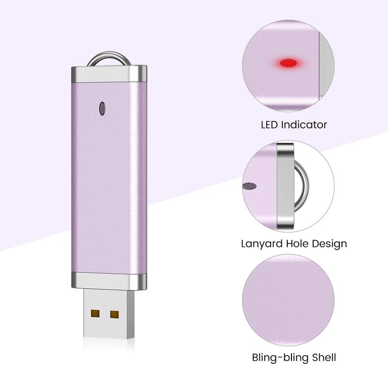 RAOYI 5 Pack 2GB USB Flash Drive Bulk Pack Memory