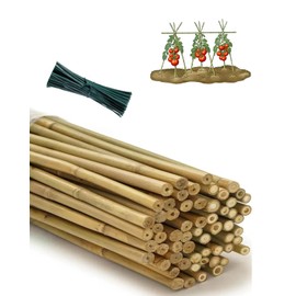 Moromyse 60 Pack 4 Ft Bamboo Stakes for Plant with 200 Twist Ties Bamboo Sticks Plant Support Garden Stakes Poles for Tomatoes Cucumber Grapes Pole Beans Trees Potted Dahlia Flowers