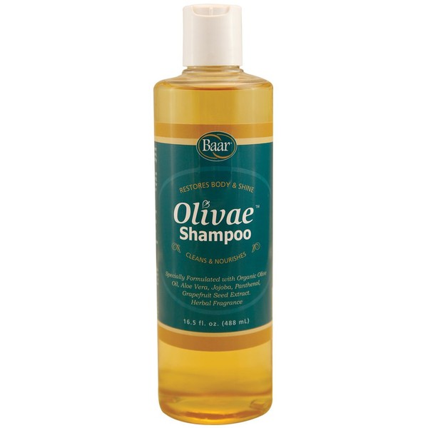 Baar Olivae Shampoo, 16.5 Fl Oz - Organic Olive Oil Formula Nourishes Hair While Cleaning. Aloe Vera, Jojoba Oil, and Proteins Repair Damaged Hair and Adds Body to All Hair Types