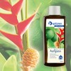 Saunaaufguss “Ingwer-Limette“ (190 ml) von Spitzner