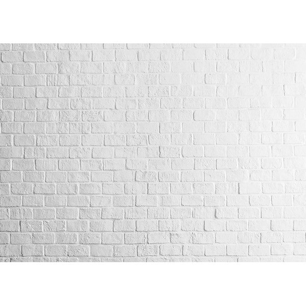 ZZBYSM 8X6FT White Brick Wall Backdrop Vinyl Birthday Backdrop Baby
