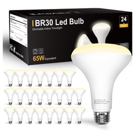 DAYBETTER BR30 led Light Bulb, Dimmable LED Bulbs 65W Equivalent, 2700K Warm White Light Bulbs Indoor Flood Light for Bedroom Kitchen Living Areas Hallway, 800 Lumens, E26 Standard Base, 24 Pack