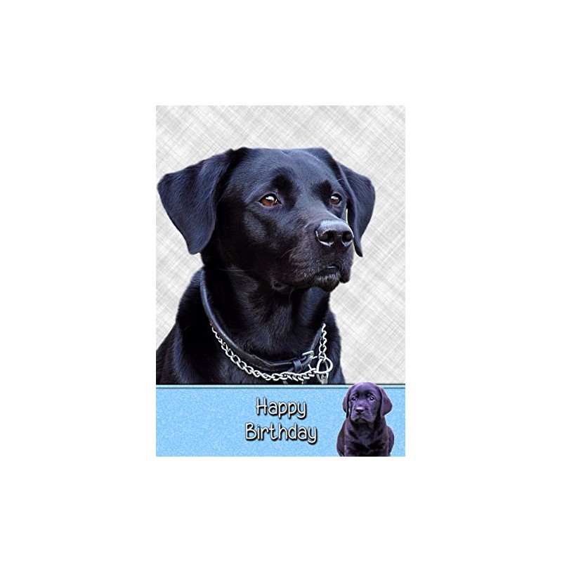 Black Labrador Birthday Card