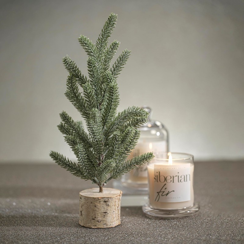 Apothecary Guild Scented Jar Candle with Glass Dome, 10.19 oz