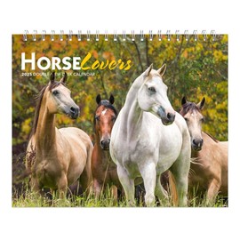 Horse Lovers | 2025 7.5 x 6 Inch Monthly Double-View Easel Desk Calendar | BrownTrout | Animals Horses Equestrian