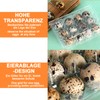 Oungy Pack of 60 Quail Egg Boxes, 12 Grid Quail