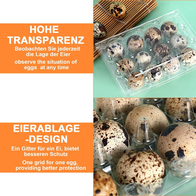 Oungy Pack of 60 Quail Egg Boxes, 12 Grid Quail