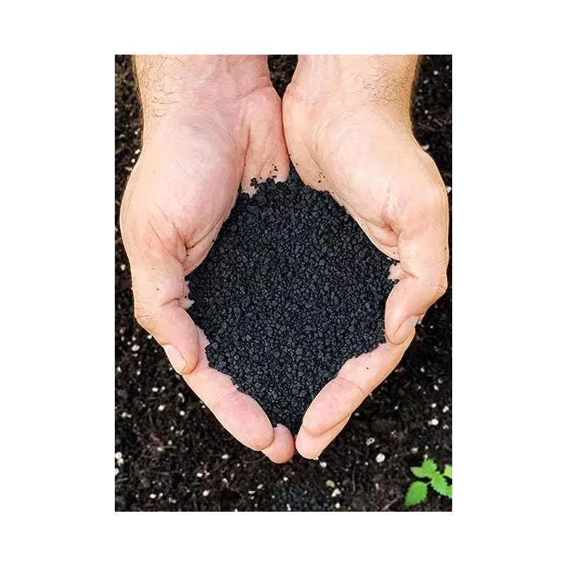 carbón activado Borgatta Carbon Activado Cascara De Coco Abono Cisco