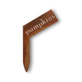 Planter Size Small Metal Garden Plant Vegetable Flower or Herb Markers 13.5 Inches Tall (pumpkin, Naturally Rusted)