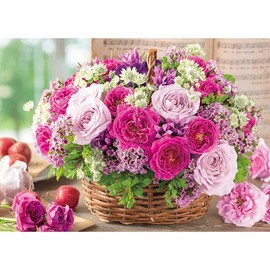 500 Piece Jigsaw Puzzle Rosy Etude (38x53cm)