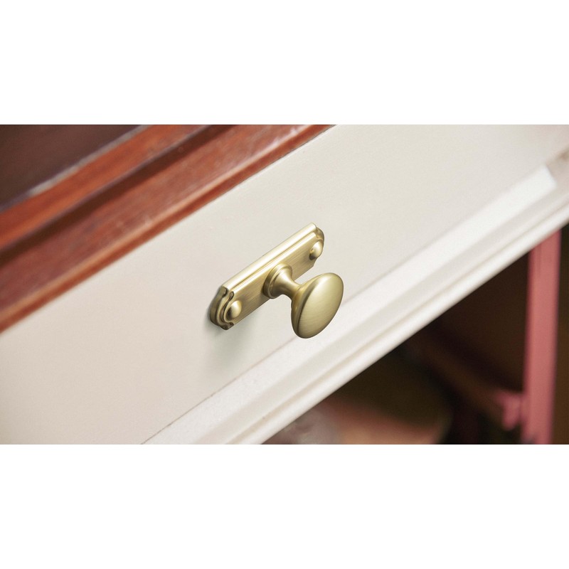 Goo-Ki 6 Pack Brushed Brass Cabinet Knobs with Backplate Zinc