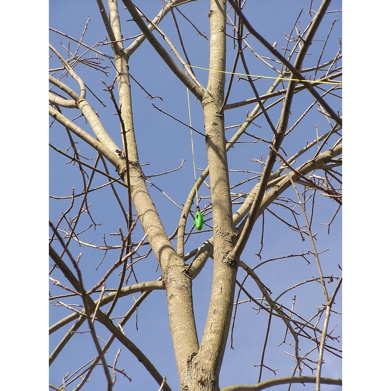 THORIUM Arborist Throw Weight Bag Combo Set - Bright Green