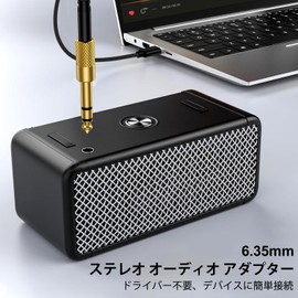 Viviber 6.35mm 3.5mm Converter Earphone Jack Stereo Mini Standard Plug Convenient Earphone Plug Conversion (Set of 2) Heavy Duty 3.5mm to 6.35mm Headphone Jack Gold Plated Compatible with Earphones