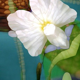 International Graphics - Finished Picture - Renate M., Schmidt - ''Filigrane Welt''- 30 x 30 cm - Direct printing on acrylic glass