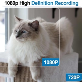 Goluckog Mini Body Camera,1080P Mini Detector Camera with Motion Detection, Indoor Security Nanny Cam for Home/Office/Pet Monitor, Video Recorder No WiFi Needed No Audio Black