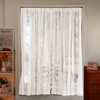 Set of 2 White Transparent Curtains: White Lace Curtain H