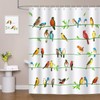 Bonhause Bird Shower Curtain, Colorful Birds on Tree Branch Bathroom