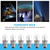 6 Pack Replacement 18 Volt Flashlight Xenon Bulb for Ryobi