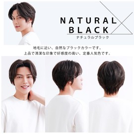 [TefuRe Men's Wigs] J-hair Member Men's Wig, 2024 Novelty Style, Men's Wig, Black, Divided by Center, Natural Wig, Center Part Short, Korean, Natural Black MEN-003-Nbk
