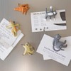 Kikkerland Cat Yoga Magnets (MG89)
